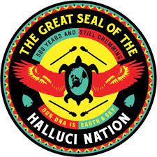 A Tribe Called Red - We are the Halluci Nation
